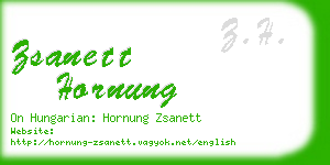 zsanett hornung business card